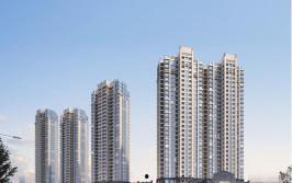 佛山都市爆料最新消息今天,都市爆料揭示今日热点事件！”